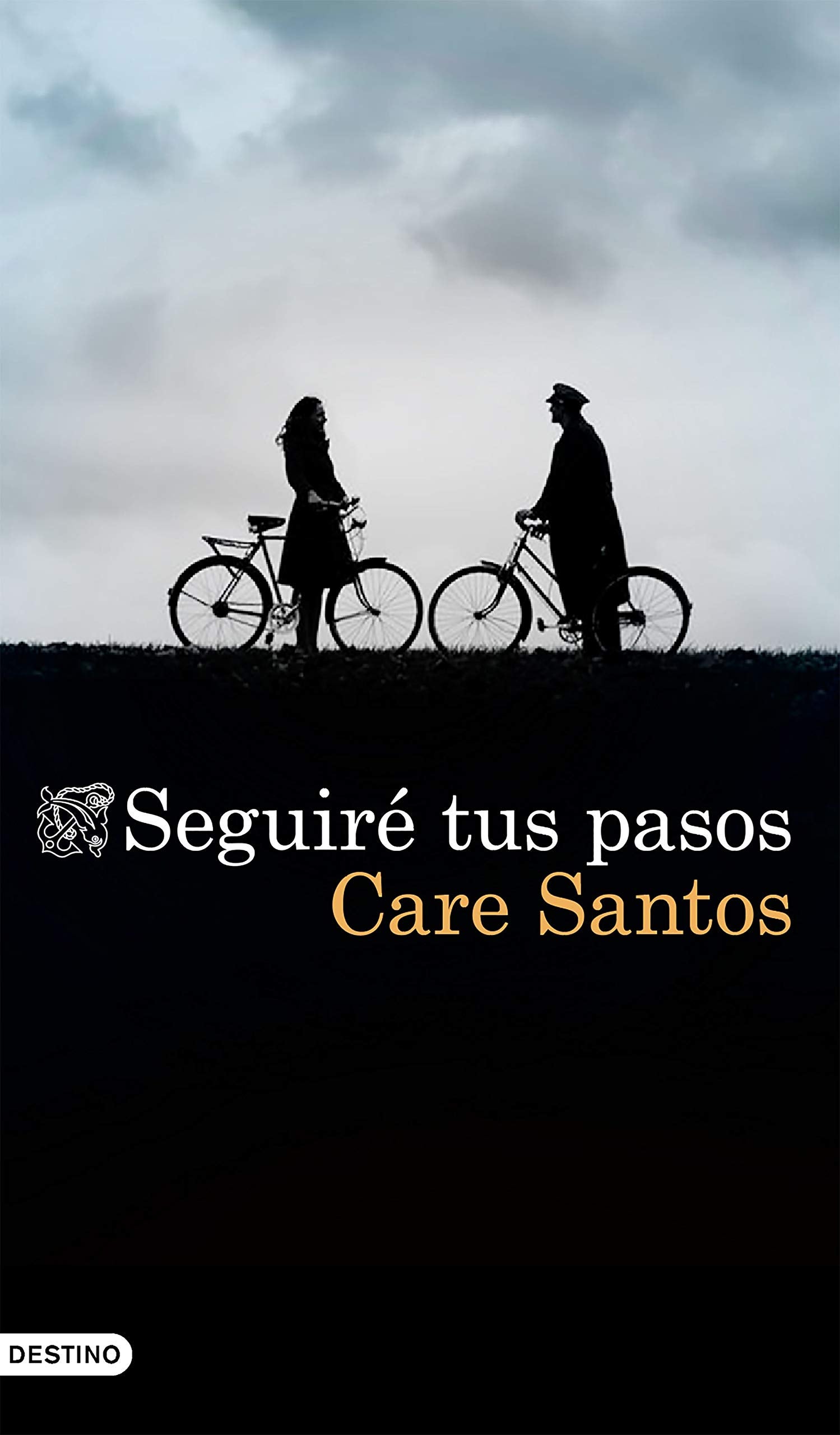 Care Santos 
